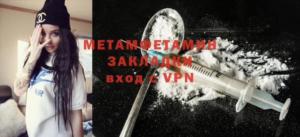 прущие грибы Няндома
